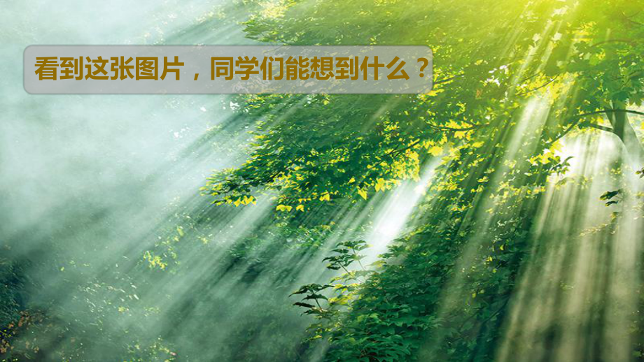 教科版五年级上册第一单元第1课《有关光的思考》优质课课件.pptx_第2页