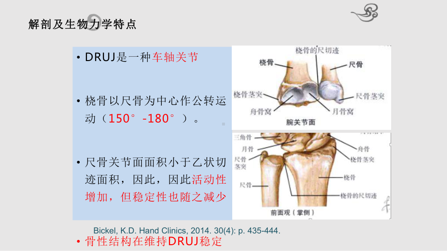 下尺桡关节脱位的治疗进展及趋势课件.pptx_第3页