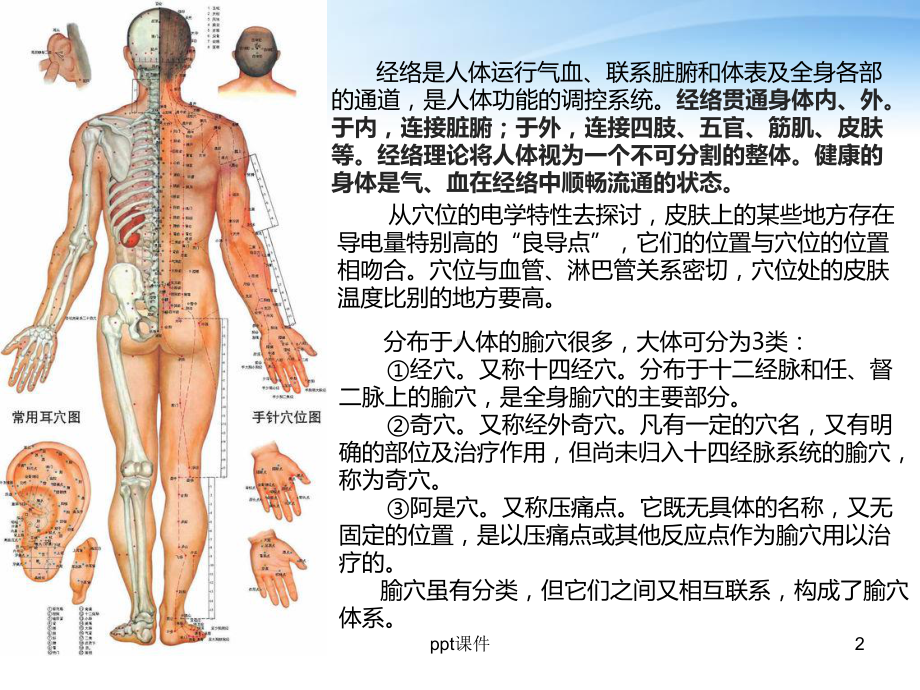 SPA机与经络养生-课件.ppt_第2页