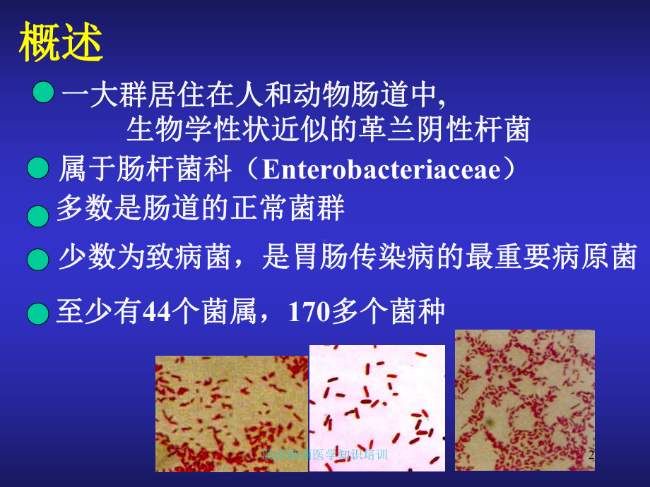 肠道细菌医学知识培训培训课件.ppt_第2页