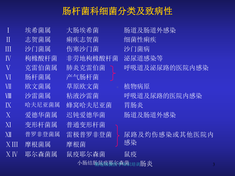 肠道细菌医学知识培训培训课件.ppt_第3页