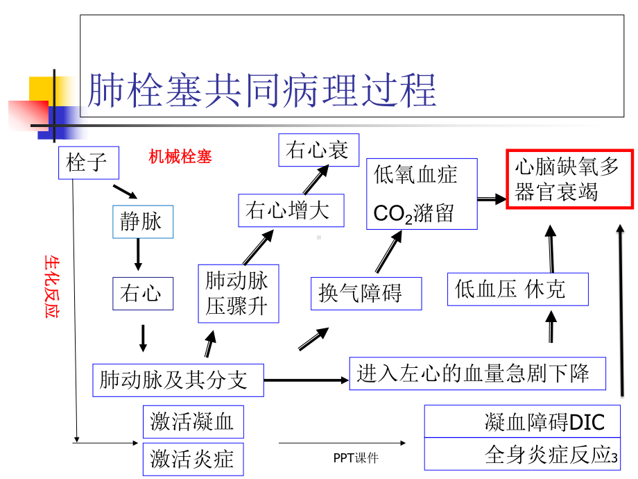 肺栓塞的发病机制诊断和处理-课件.ppt_第3页