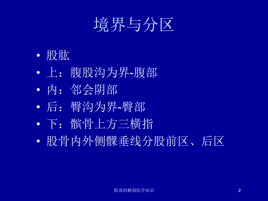 股部的解剖医学知识培训课件.ppt_第2页