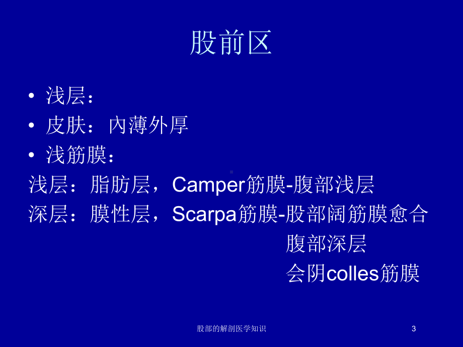 股部的解剖医学知识培训课件.ppt_第3页