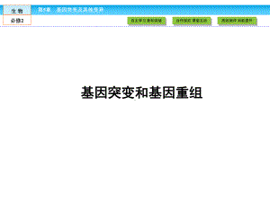 人教版高中必修二生物《基因突变和基因重组》教学课件.pptx