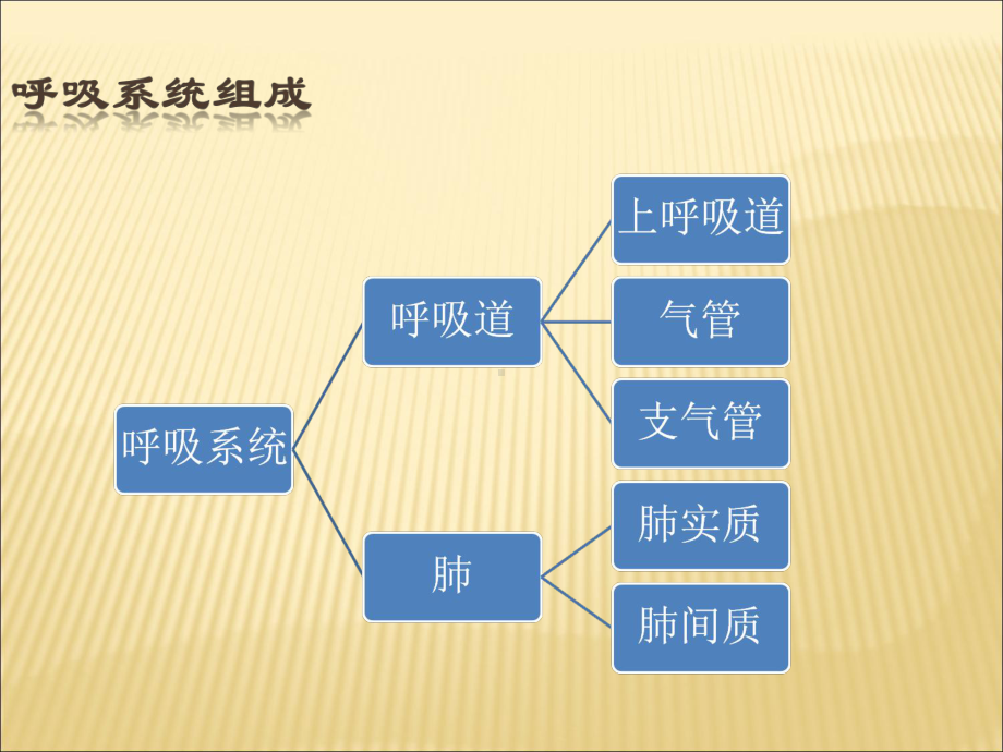 肺功能检查操作及基础知识课件.pptx_第2页