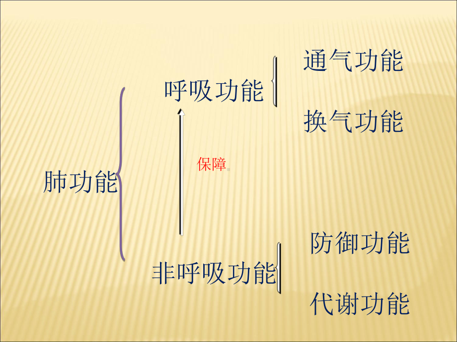 肺功能检查操作及基础知识课件.pptx_第3页