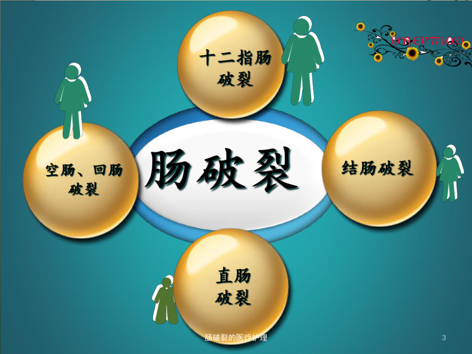 肠破裂的医疗护理培训课件.ppt_第3页