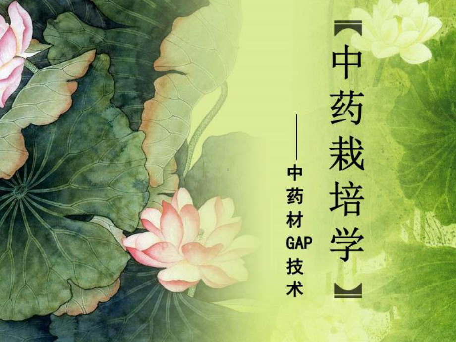 中药栽培学中药材课件.ppt_第1页