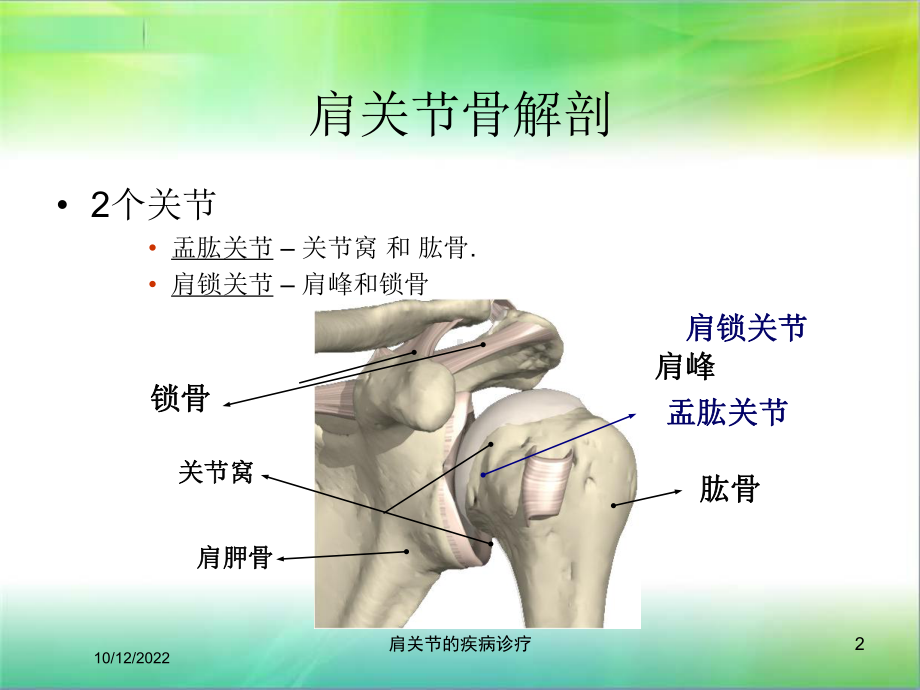 肩关节的疾病诊疗培训课件.ppt_第2页