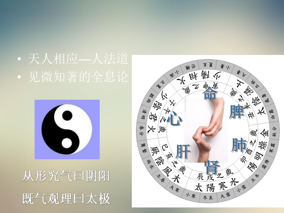 肝辨证-名中医授学课件.ppt_第2页