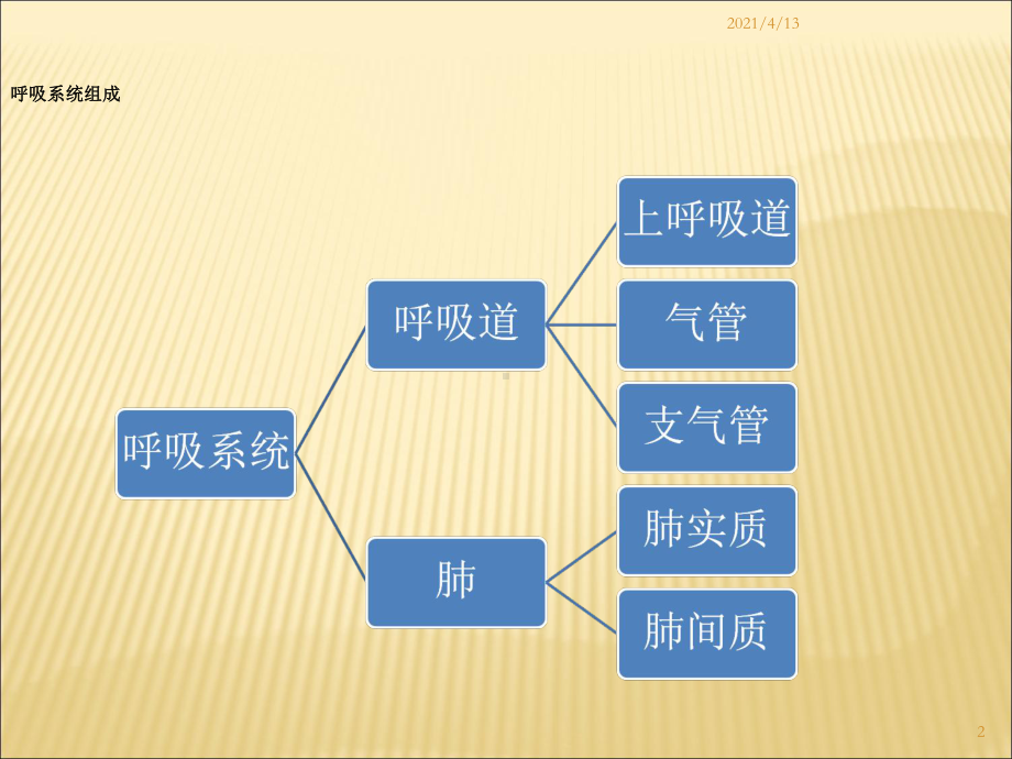 肺功能检查操作与基础知识课件.ppt_第2页