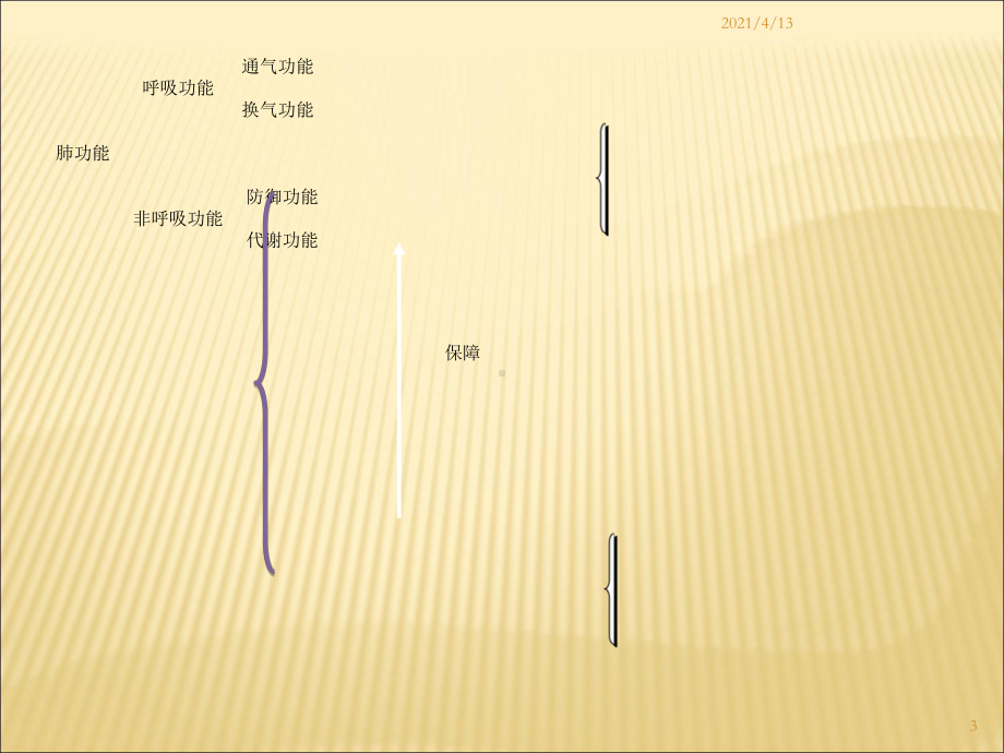 肺功能检查操作与基础知识课件.ppt_第3页