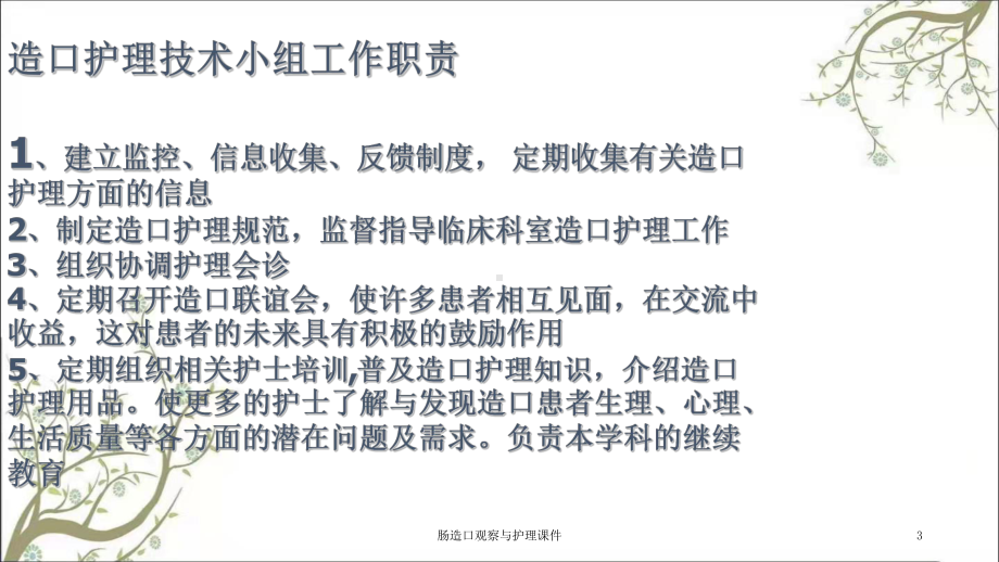 肠造口观察与护理课件.ppt_第3页