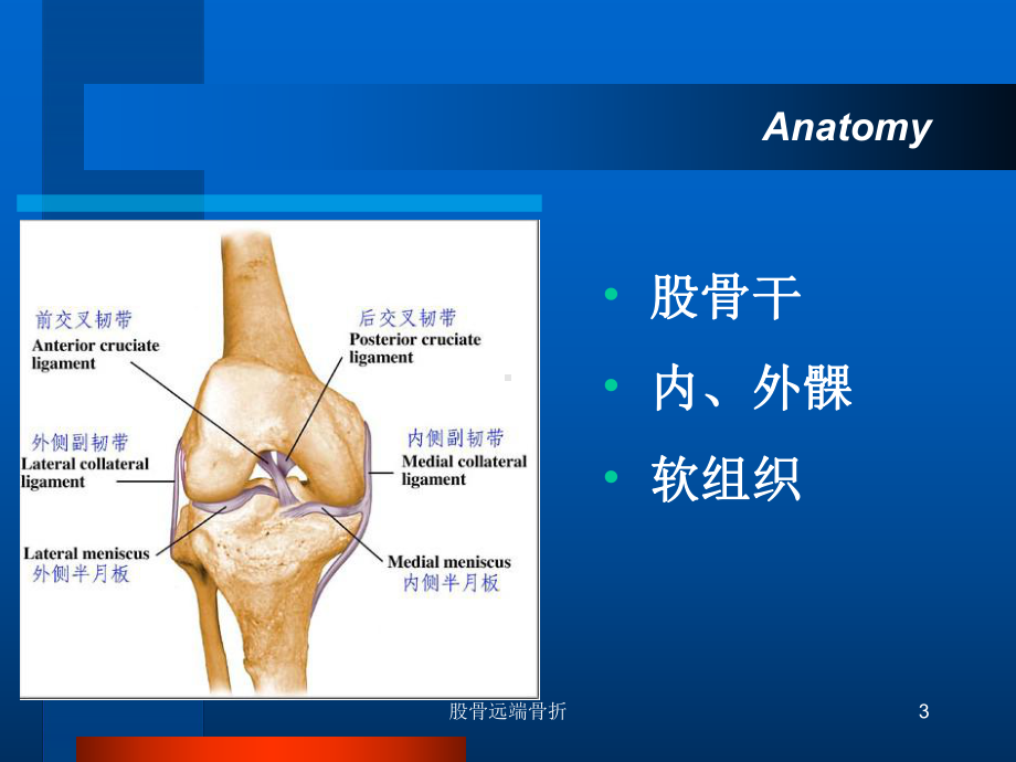 股骨远端骨折课件.ppt_第3页