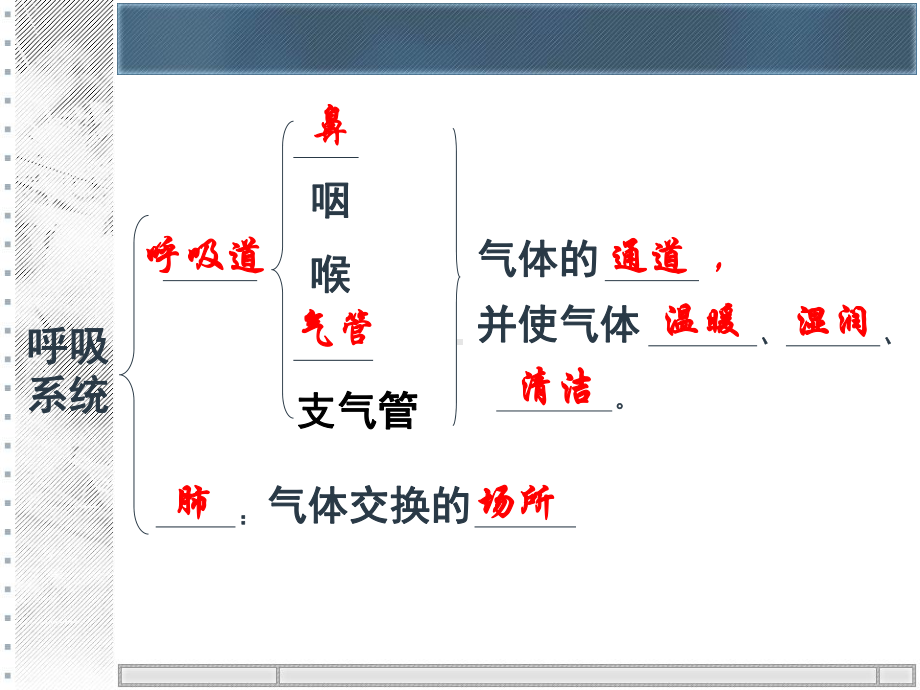 三章人的呼吸13课件.pptx_第3页