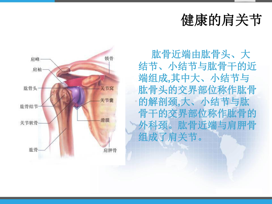 肱骨头置换围手术护理-课件.pptx_第3页