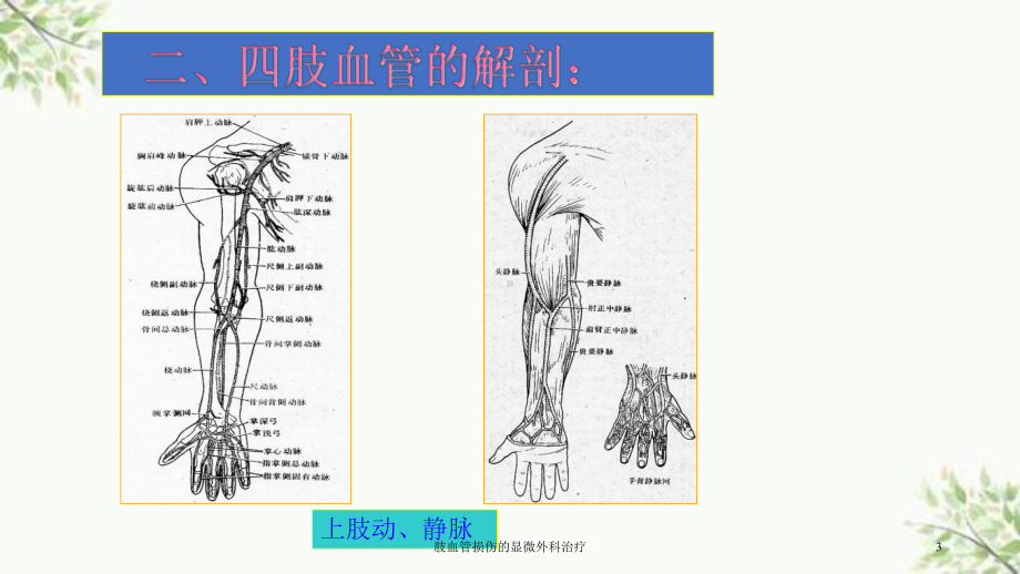 肢血管损伤的显微外科治疗课件.ppt_第3页