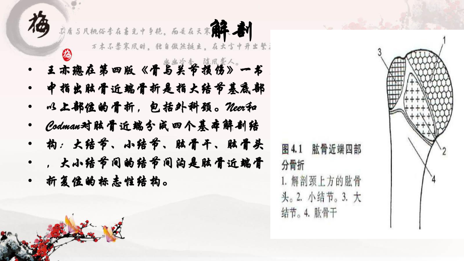 肱骨近端骨折(课件).ppt_第3页