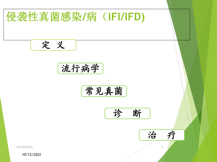 肺部真菌感染培训课件.ppt_第3页