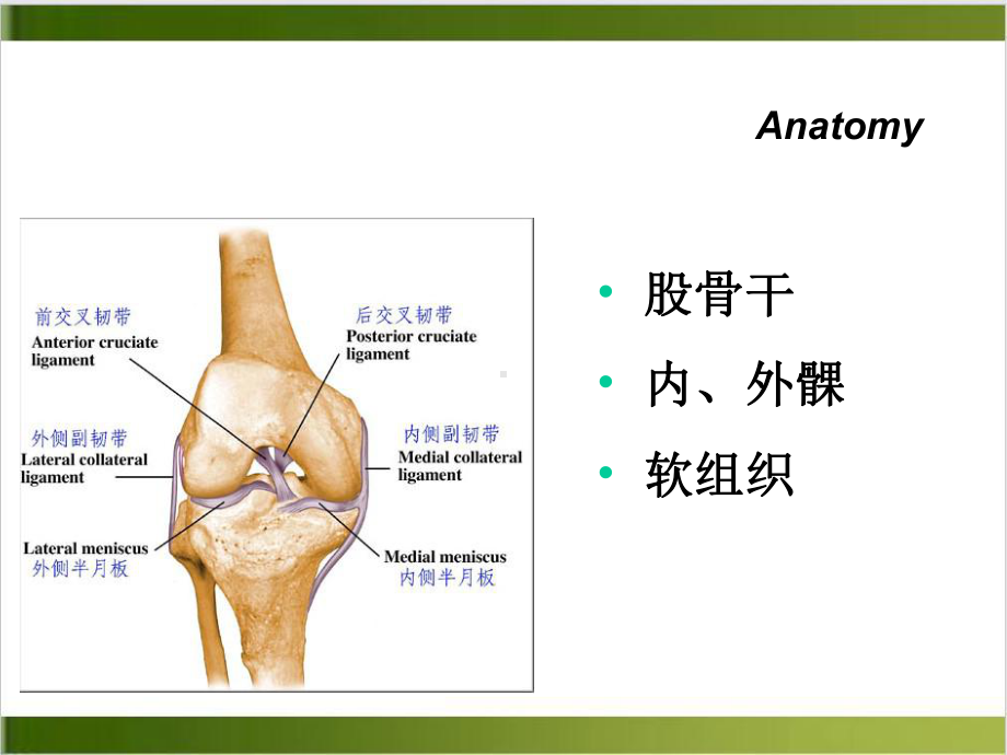 股骨远端骨折培训课程课件.ppt_第3页