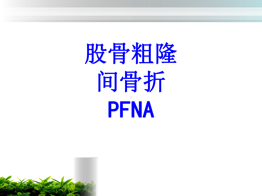 股骨粗隆间骨折PFNA培训课件.ppt_第1页