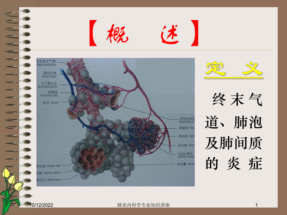 肺炎内科学专业知识讲座培训课件.ppt_第1页