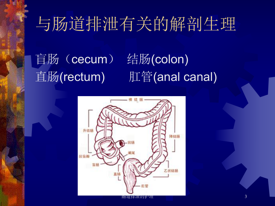 肠道排泄的护理培训课件.ppt_第3页