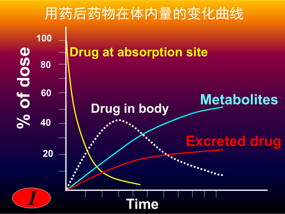 中药药动学课件.pptx_第3页