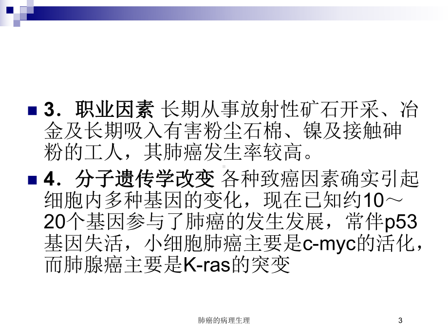 肺癌的病理生理培训课件.ppt_第3页