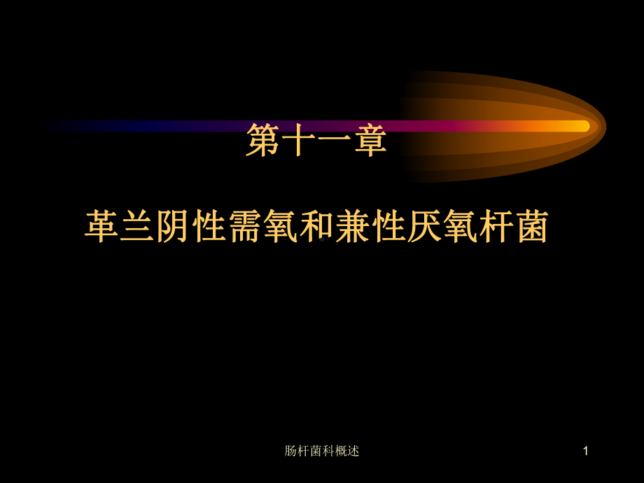 肠杆菌科概述课件.ppt_第1页