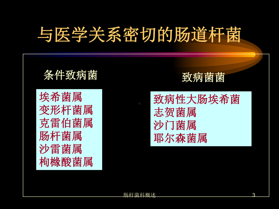 肠杆菌科概述课件.ppt_第3页