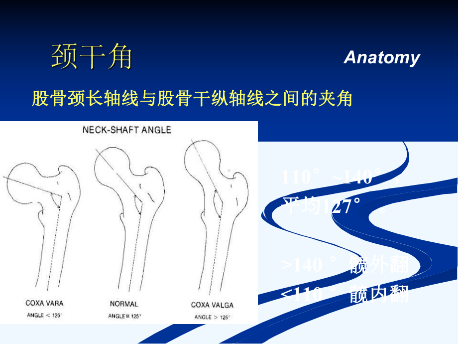 股骨颈骨折朱课件.ppt_第3页