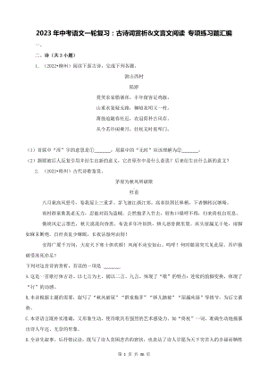 2023年中考语文一轮复习：古诗词赏析&文言文阅读 专项练习题汇编（Word版含答案）.docx