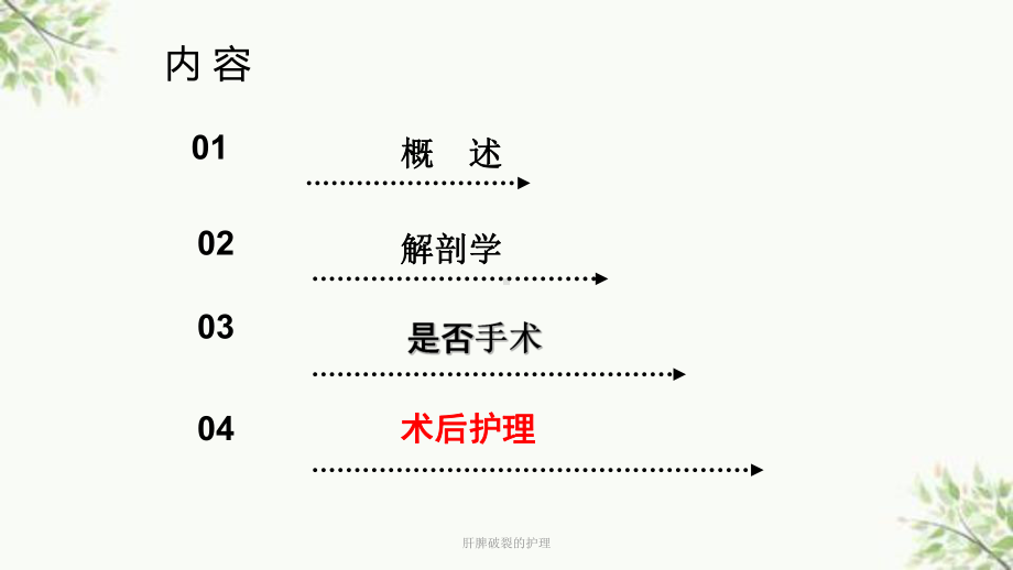 肝脾破裂的护理课件.ppt_第2页