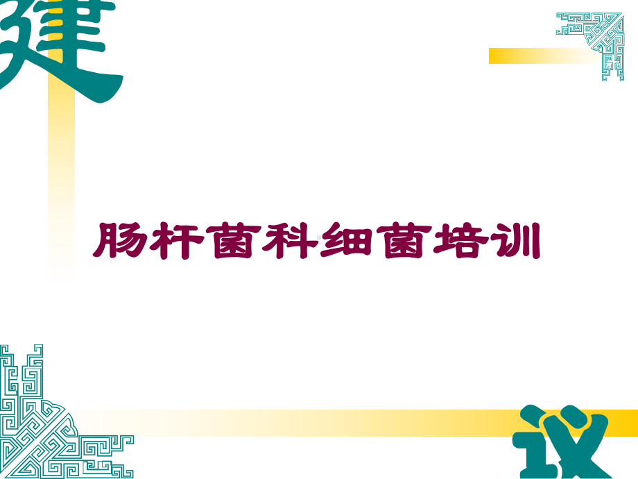 肠杆菌科细菌培训培训课件.ppt_第1页