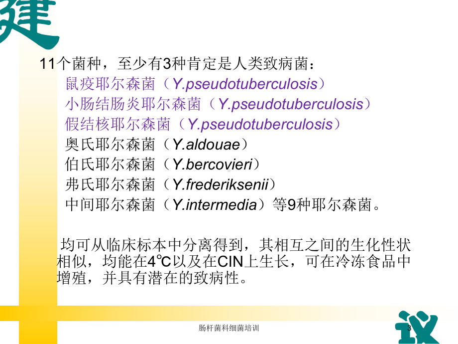 肠杆菌科细菌培训培训课件.ppt_第3页