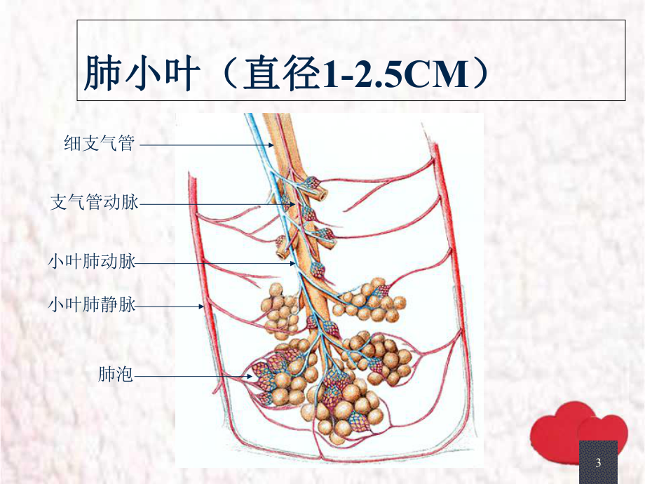 肺内小结节教学课件.ppt_第3页