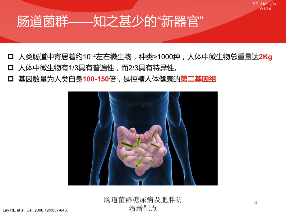 肠道菌群糖尿病及肥胖防治新靶点培训课件.ppt_第3页