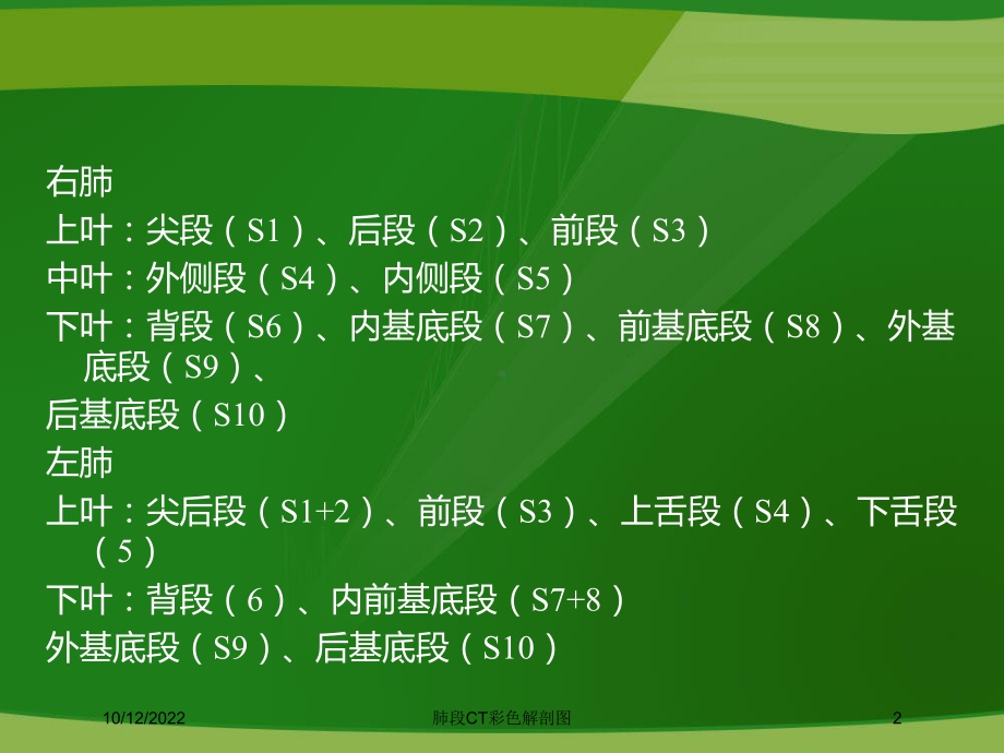 肺段CT彩色解剖图培训课件.ppt_第2页