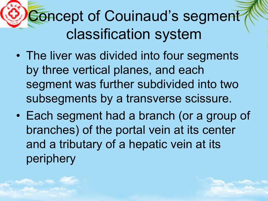 肝脏解剖分段最全课件.ppt_第3页