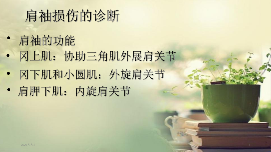 肩周相关疾病的诊断与治疗课件.ppt_第3页