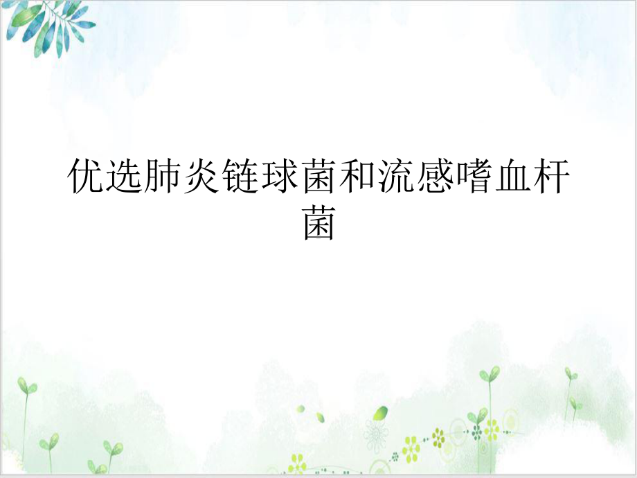 肺炎链球菌和流感嗜血杆菌培训课程课件.ppt_第2页