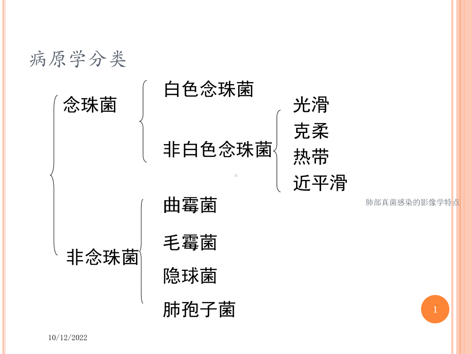 肺部真菌感染的影像学特点培训课件.ppt_第1页