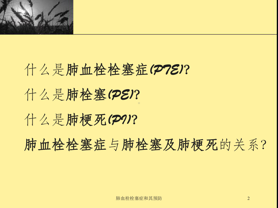 肺血栓栓塞症和其预防培训课件.ppt_第2页