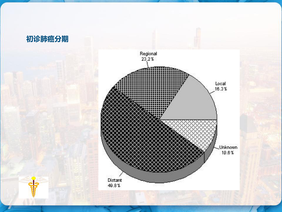 肺癌化疗药物选择及其评价-课件.pptx_第3页