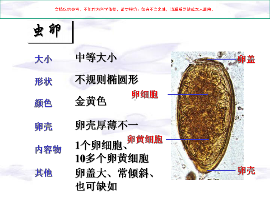 肺吸虫曼氏绦虫带绦虫细粒棘球绦虫培训课件.ppt_第3页