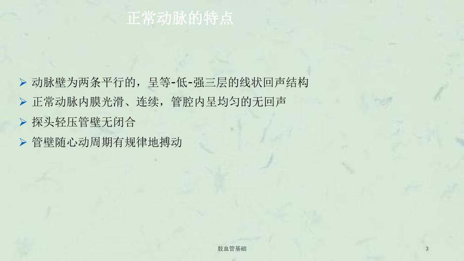 肢血管基础课件.ppt_第3页