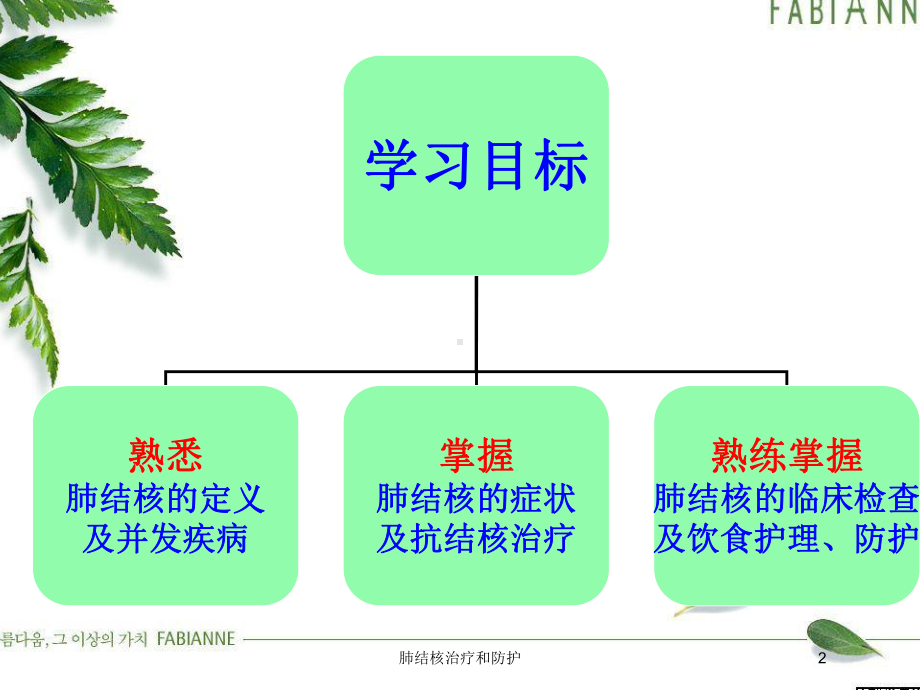 肺结核治疗和防护培训课件.ppt_第2页