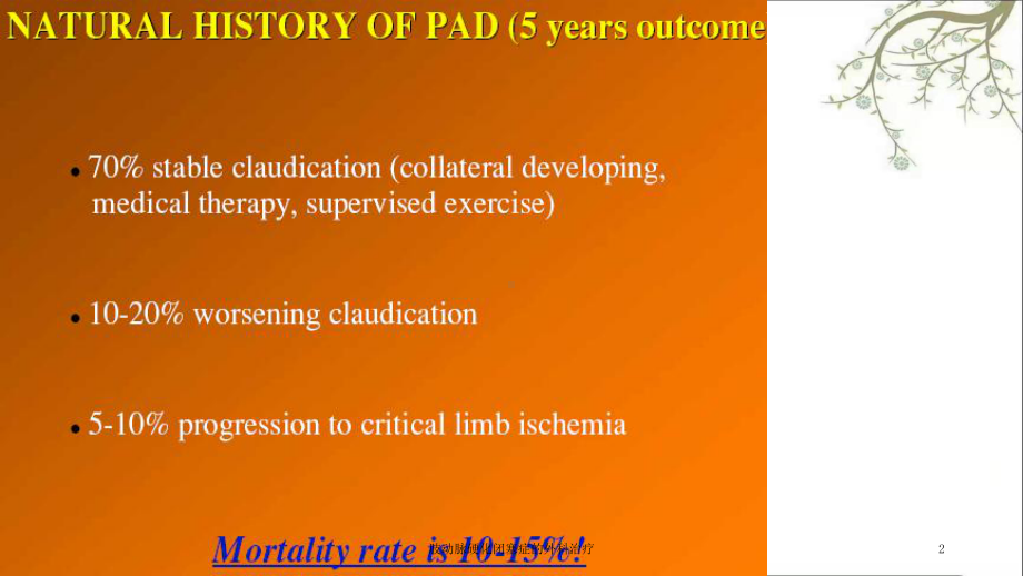 肢动脉硬化闭塞症的外科治疗课件.ppt_第2页